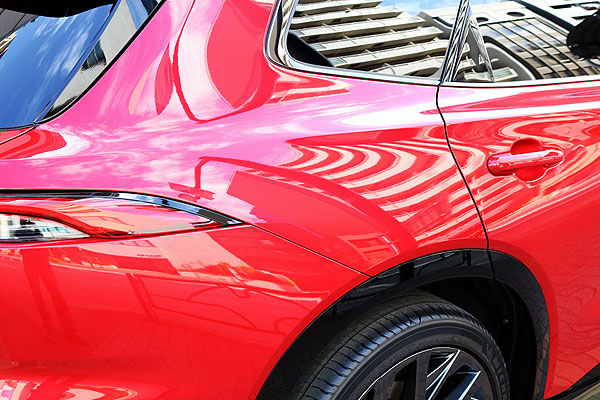 コーティング済みCROWN ESTATE側面拡大画像3