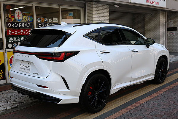 LEXUS NX350h ガラスコーティング済み未塗装樹脂部分